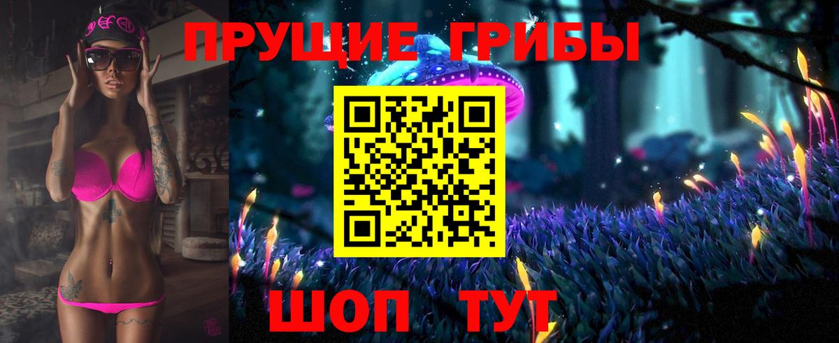 Псилоцибиновые грибы Psilocybe  Вход с VPN  Галлюциногенные грибы ЛСД  Трёхгорный 