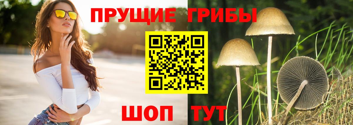 Псилоцибиновые грибы Magic Shrooms Трёхгорный